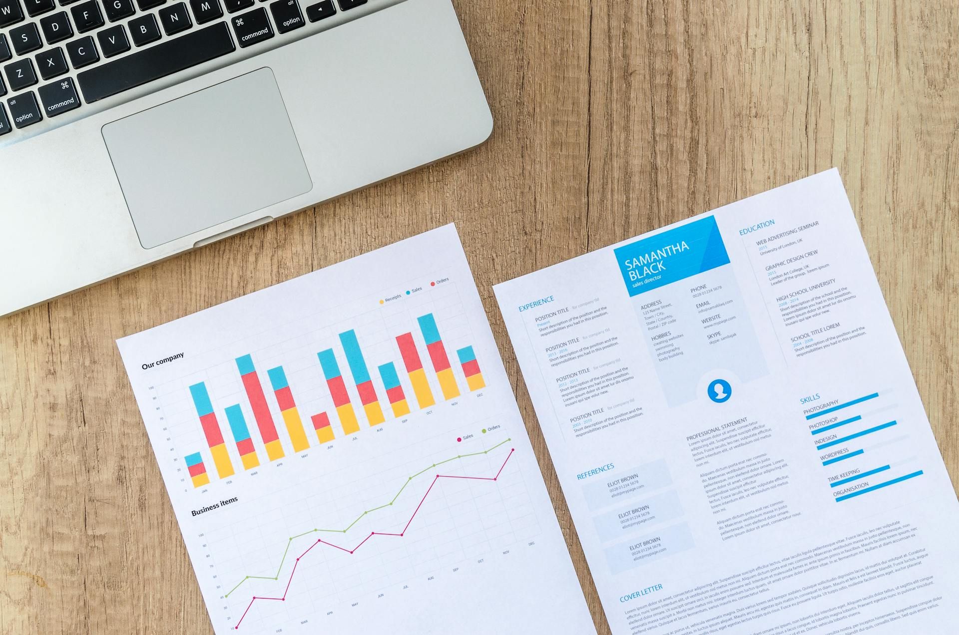 Software Developer CV Guide for Zambia in 2026